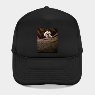 THE SILENCE OF THE LAMBS DOG PRECIOUS Hat